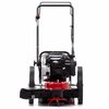 Toro 37391 22 in. 163 cc Gas Trimmer Mower 58620-37391